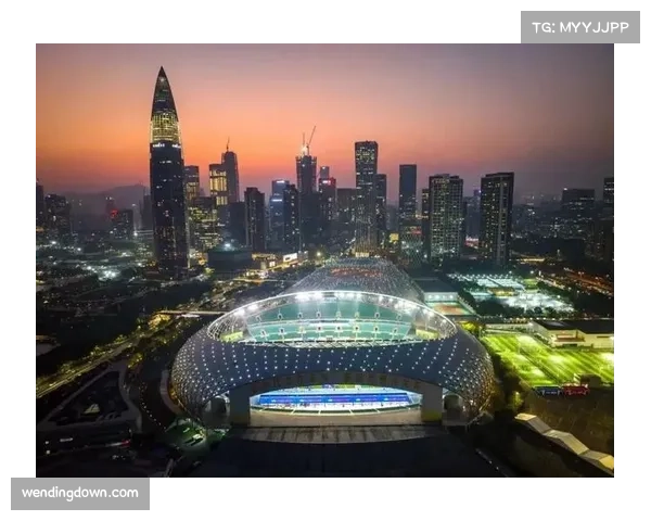 湾区魅力通过体育展示 三地联办体现一国两制优势